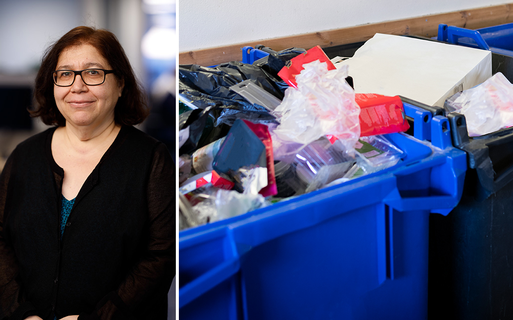 Per Myrehed samt Scandinav