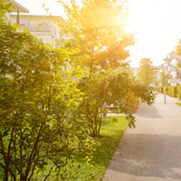 Grönska i ett bostadsområde